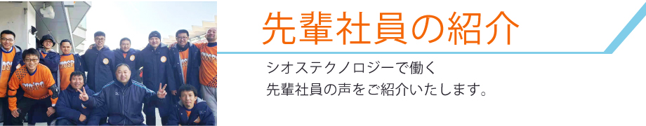 先輩社員の声